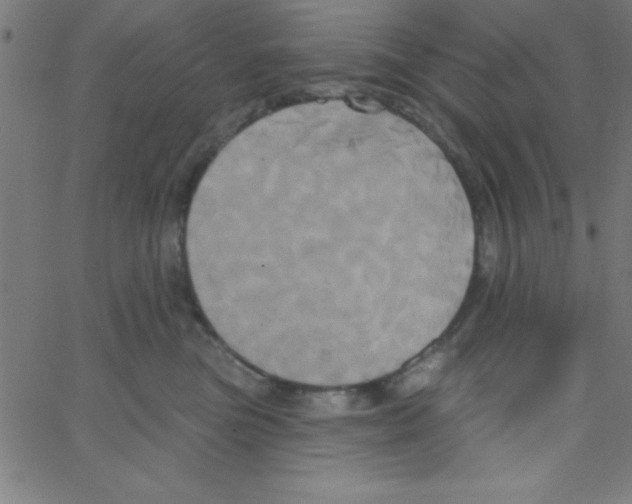 X0000067390473200604281847