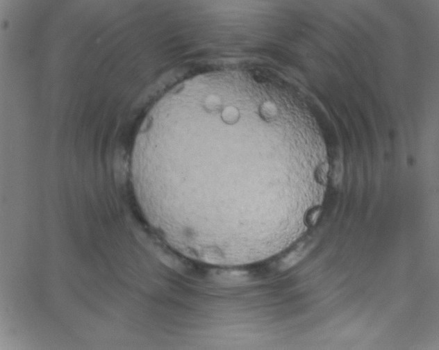 X0000067390476200604281847