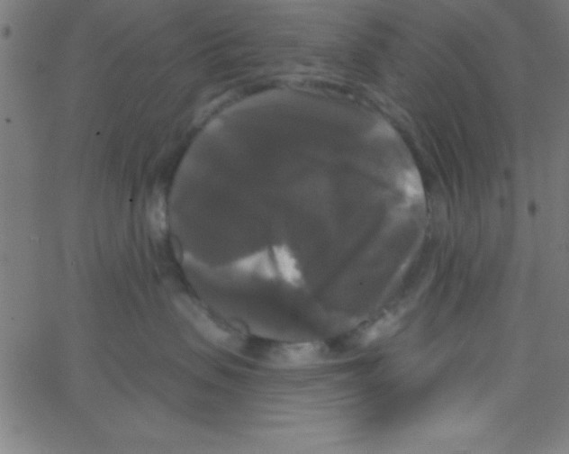 X0000067390479200604281847