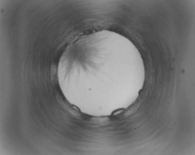 X0000067390480200604281847