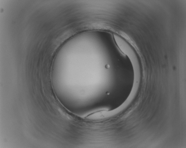 X0000067390481200604281846