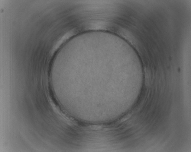 X0000067390482200604281846