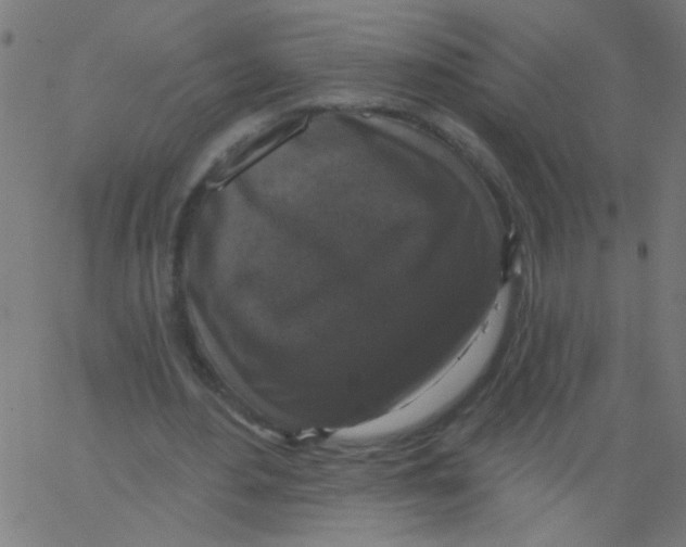 X0000067390484200604281846