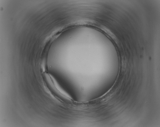 X0000067390485200604281846