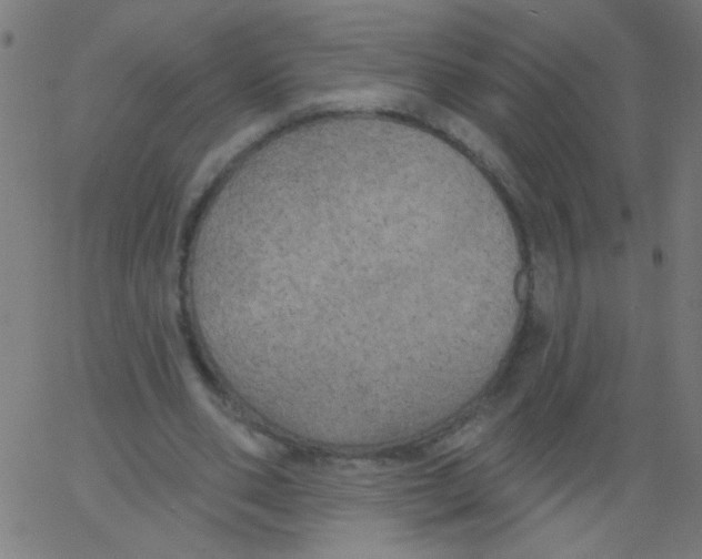 X0000067390486200604281846