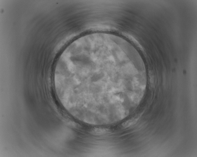 X0000067390487200604281846