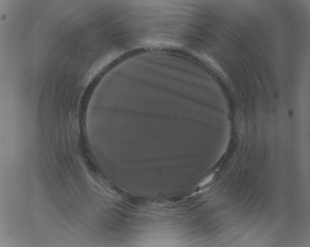 X0000067390488200604281846