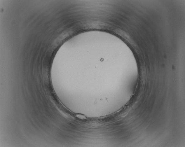 X0000067390489200604281846