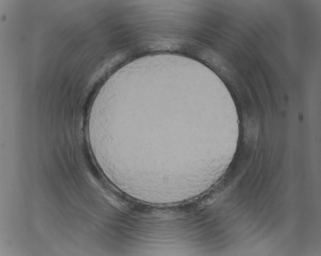 X0000067390490200604281846