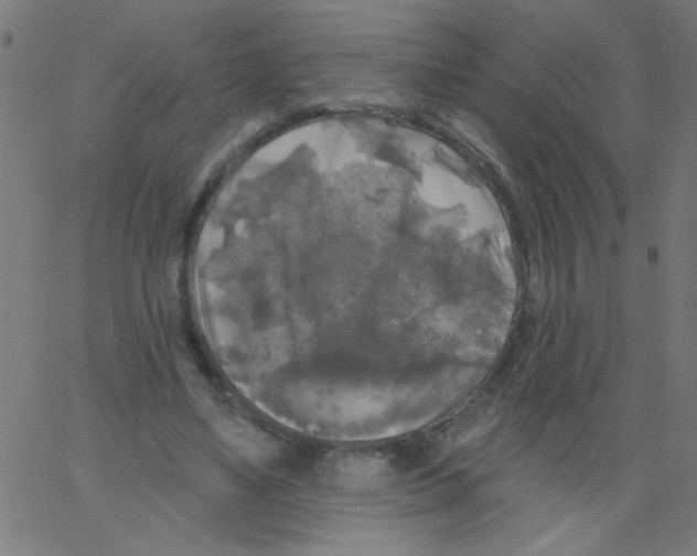 X0000067390491200604281846