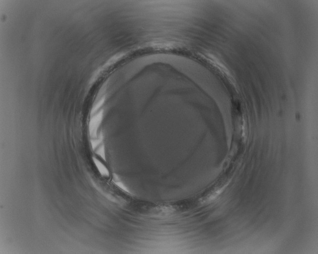 X0000067390492200604281846