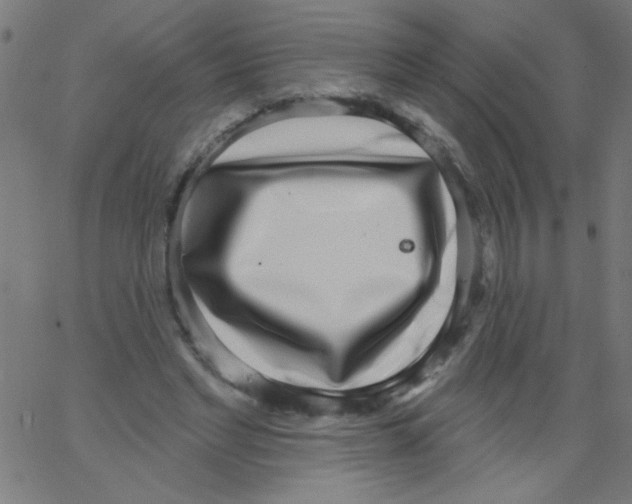 X0000067390493200604281846