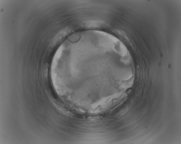 X0000067390495200604281846