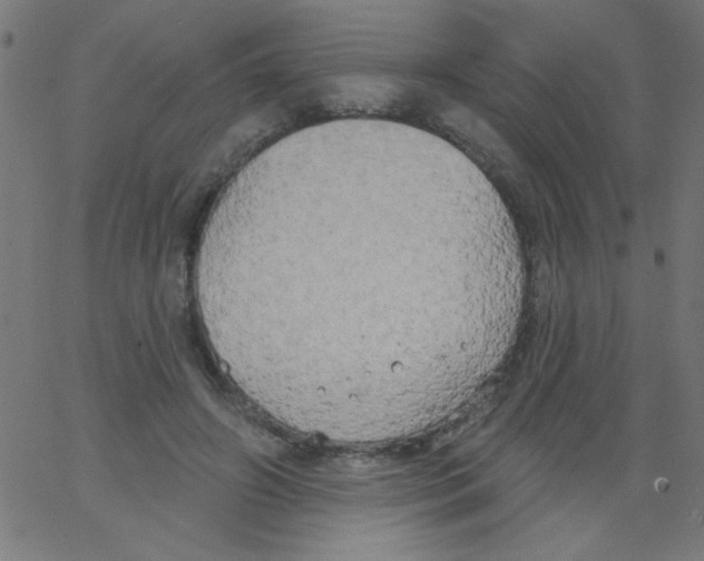 X0000067390498200604281846