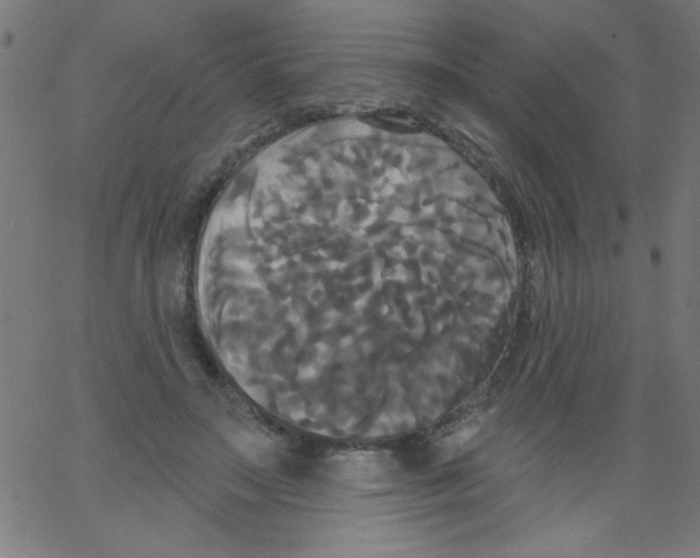 X0000067390499200604281846