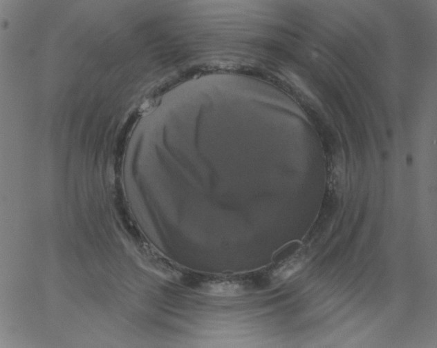 X0000067390500200604281846