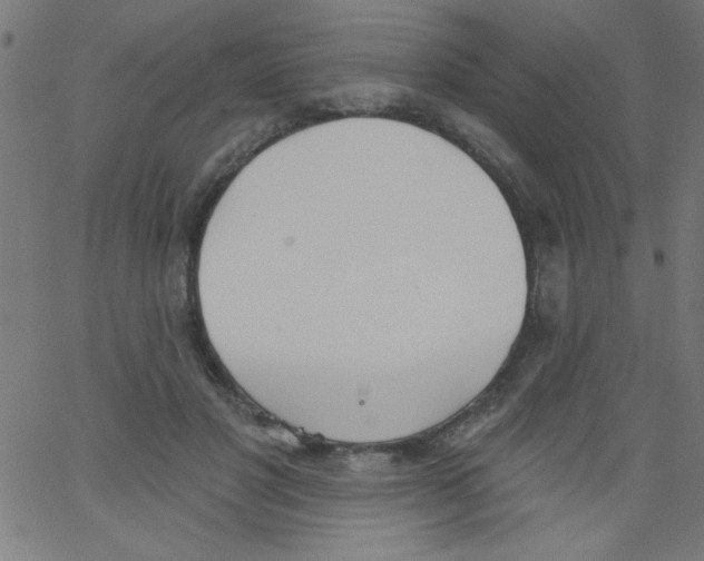 X0000067390501200604281846