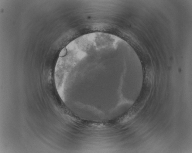 X0000067390502200604281846