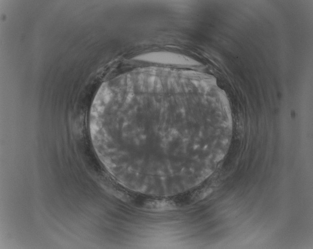 X0000067390503200604281846