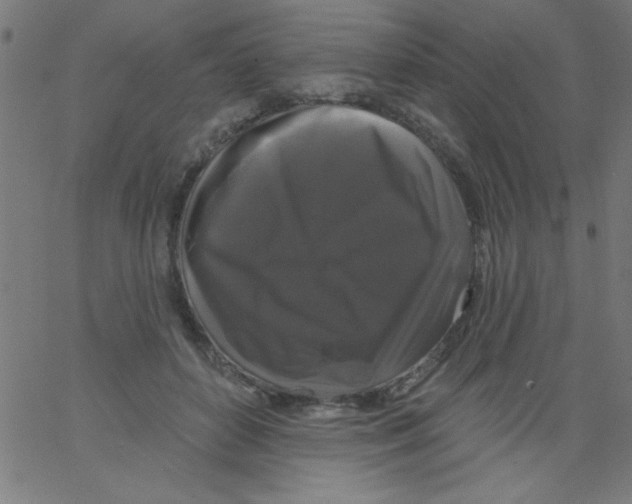 X0000067390504200604281846