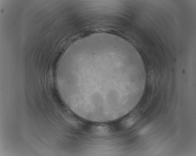 X0000067390506200604281846