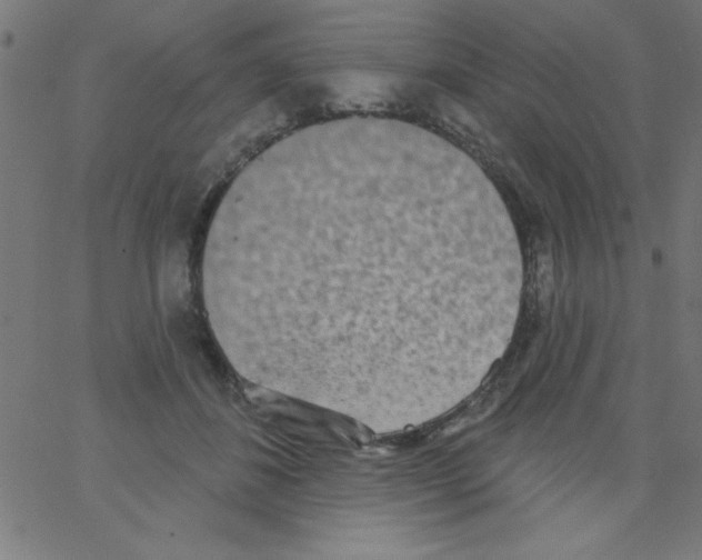 X0000067390508200604281846