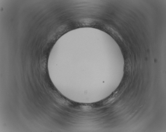 X0000067390509200604281846