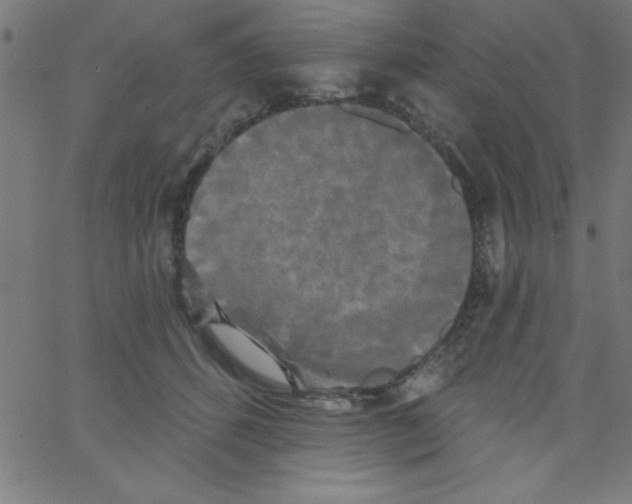 X0000067390512200604281845