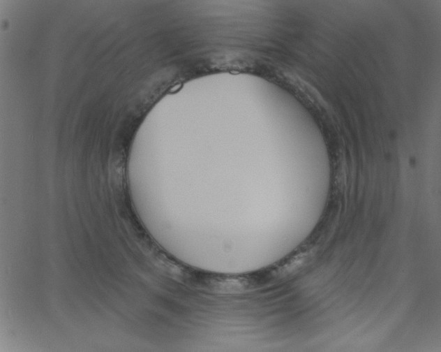 X0000067390513200604281845