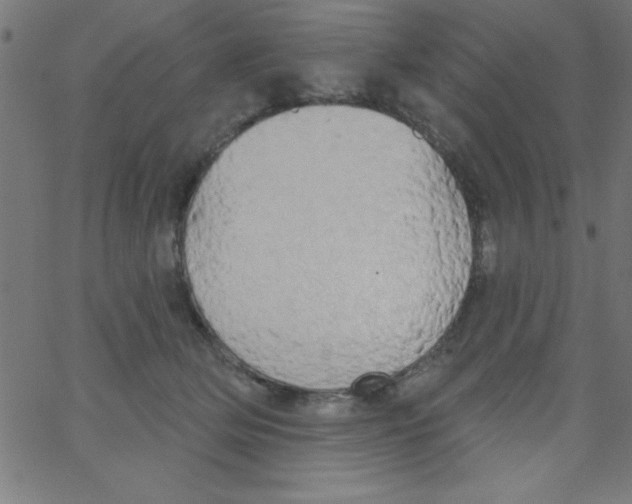 X0000067390514200604281845