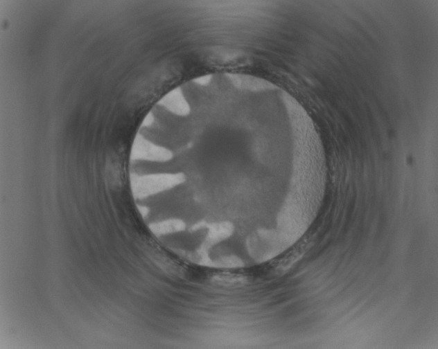 X0000067390515200604281845