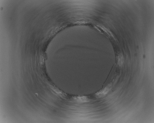 X0000067390517200604281845