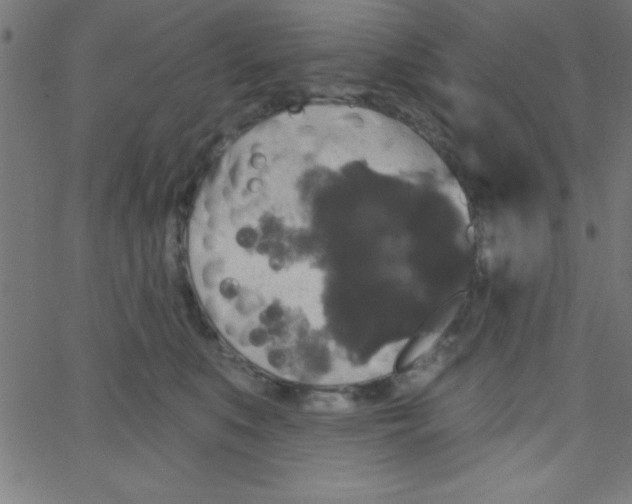 X0000067390519200604281845