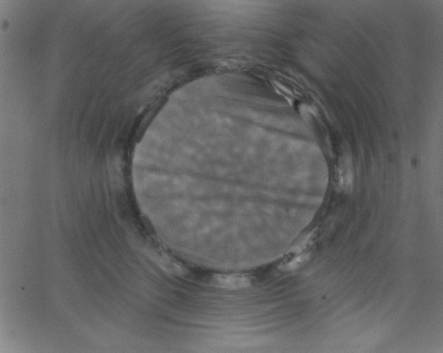 X0000067390520200604281845