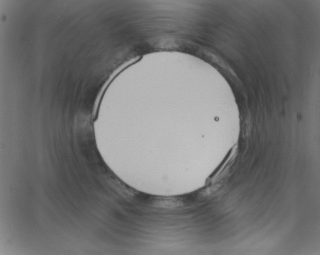 X0000067390521200604281845