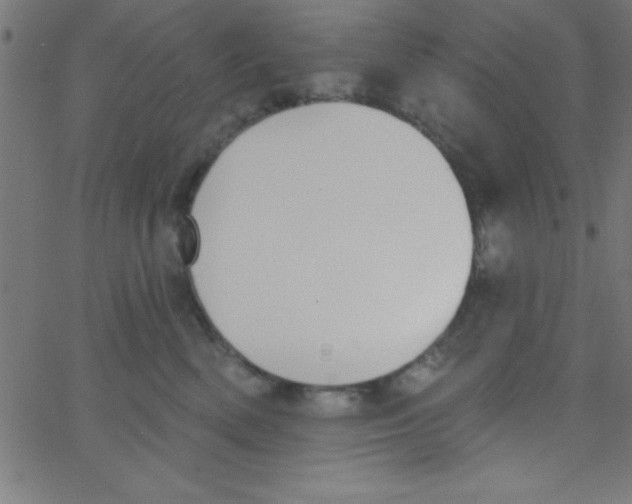 X0000067390522200604281845