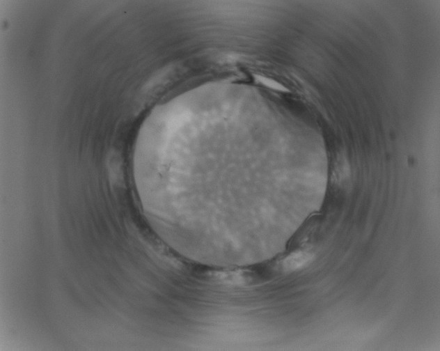 X0000067390524200604281845