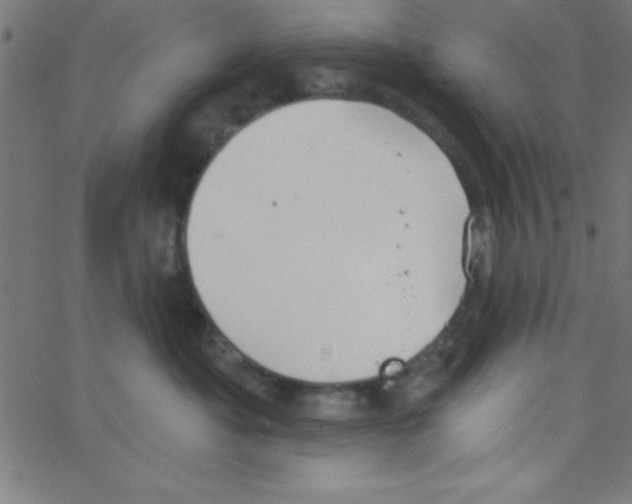 X0000067390525200604281845