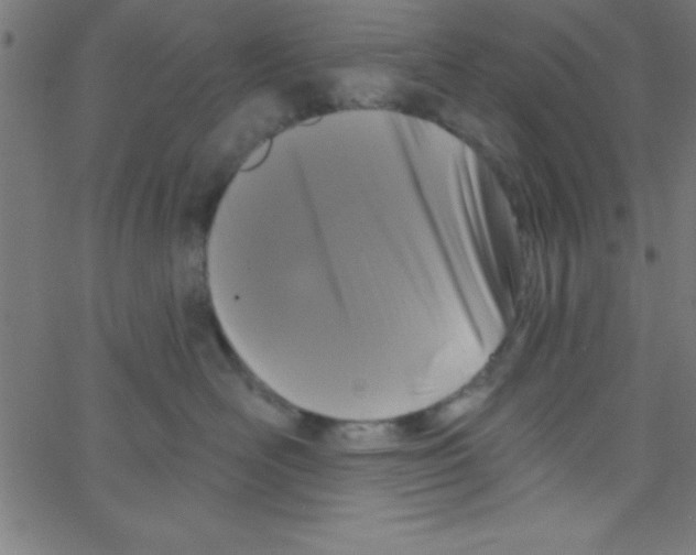 X0000067390526200604281845