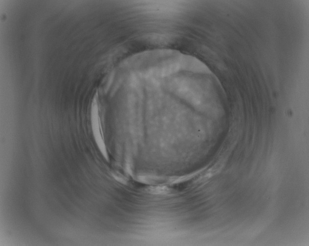 X0000067390528200604281845