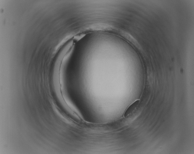 X0000067390530200604281844