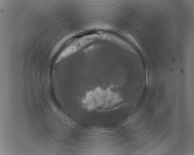 X0000067390531200604281844