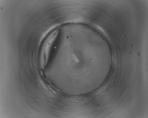 X0000067390532200604281845