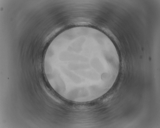 X0000067390533200604281845