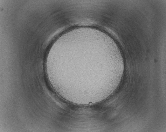 X0000067390535200604281845