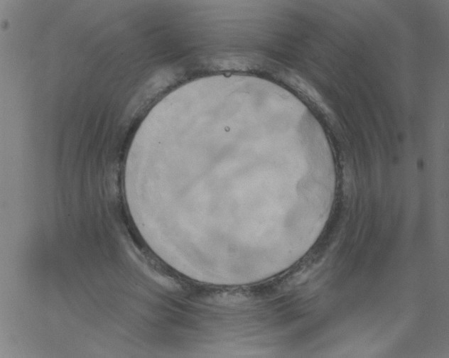 X0000067390537200604281845