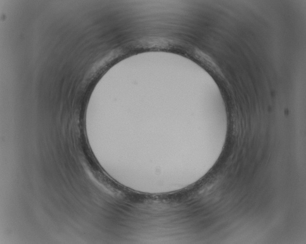 X0000067390538200604281845