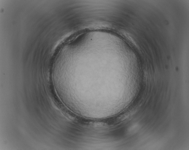 X0000067390539200604281845