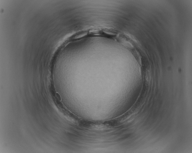 X0000067390540200604281845