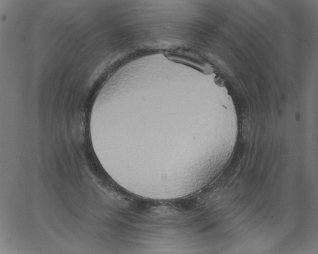 X0000067390544200604281845